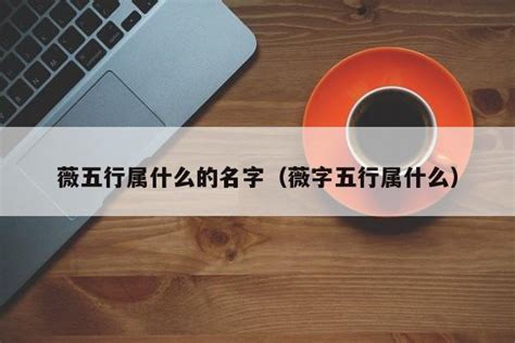 薇五行|薇字在五行里属什么？